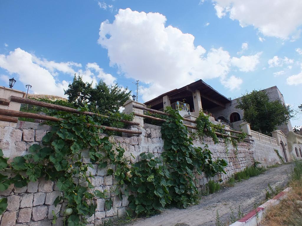 Dilek Tepesi Cave Hotel Ayvali Exterior photo